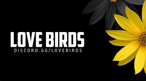 discord dating 18+|Lovebirds .